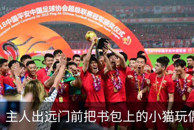 主人出远门前把书包上的小猫玩偶送给狗狗，几天后回家一看……瞬间心化了！