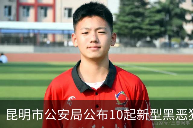 昆明市公安局公布10起新型黑恶犯罪案例