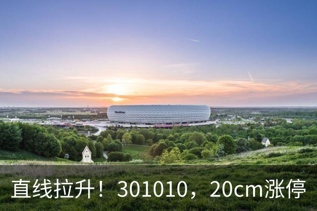 直线拉升！301010，20cm涨停